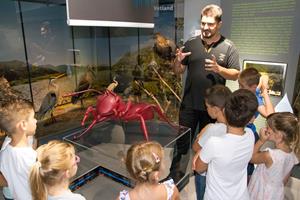 Klikni za veliku sliku