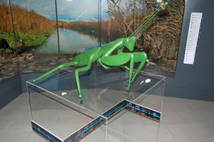 Klikni za veliku sliku