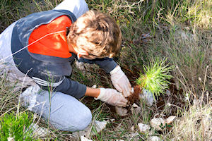 Klikni za veliku sliku