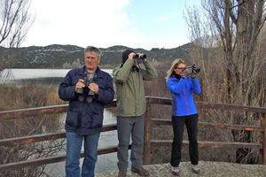 Klikni za veliku sliku