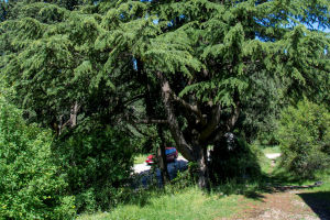 Klikni za veliku sliku