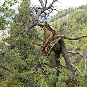 Klikni za veliku sliku