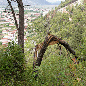 Klikni za veliku sliku