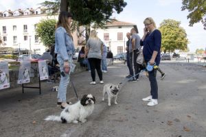 Klikni za veliku sliku