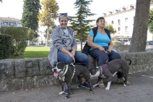 Klikni za veliku sliku