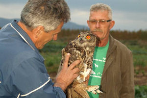 Klikni za veliku sliku