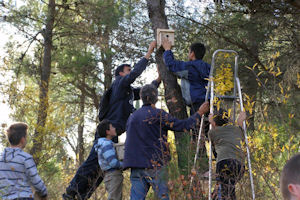 Klikni za veliku sliku