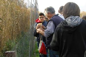Klikni za veliku sliku