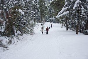 Klikni za veliku sliku