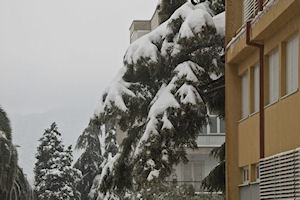 Klikni za veliku sliku