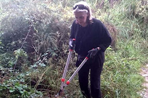 Klikni za veliku sliku