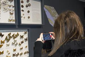 Klikni za veliku sliku