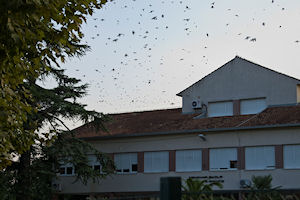 Klikni za veliku sliku