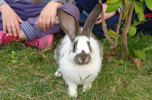 Klikni za veliku sliku