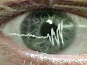 Detektor la�i - Biraj!