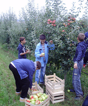 Klikni za veliku sliku