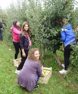 Klikni za veliku sliku