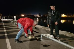 Klikni za veliku sliku