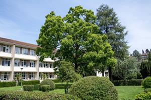 Klikni za veliku sliku